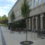 Durham University (3)
