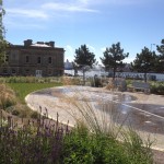 Soft Landscaping at Harton Quays Park, Sustain Landscapes Limited